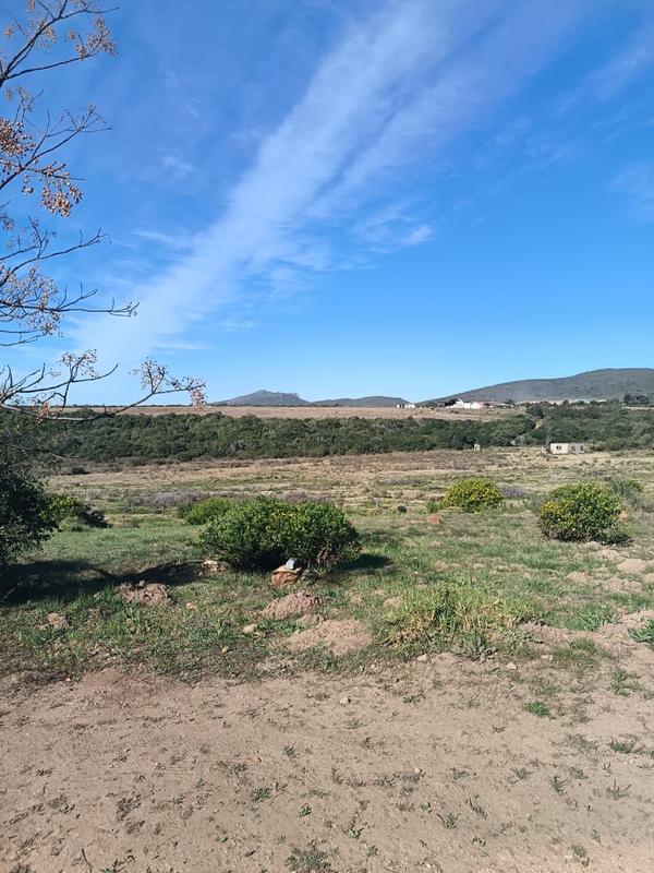 0 Bedroom Property for Sale in Albertinia Western Cape